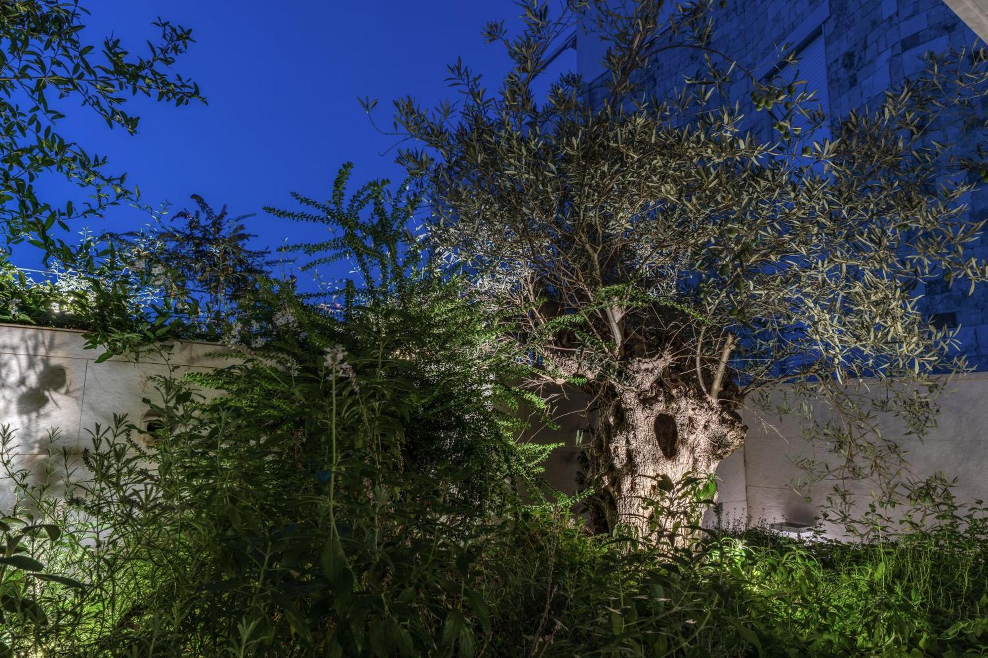 Olea Boutique Suites Polignano Polignano a Mare Zewnętrze zdjęcie